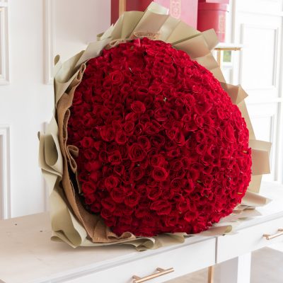 Buchi "BOUQUET" red 600 - Image 2