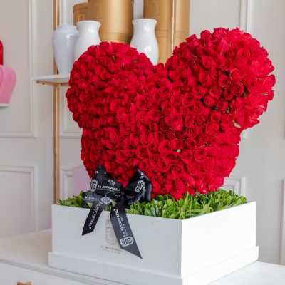 Buchi "MICKEY" red 1000 - Image 2