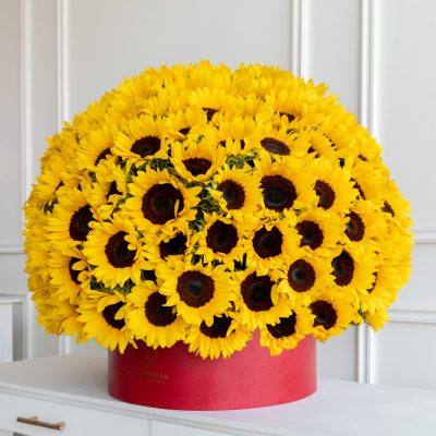 Buchi "SPHERA" sunflower 150 - Image 2
