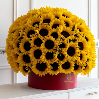 Buchi "SPHERA" sunflower 150 - Image 3