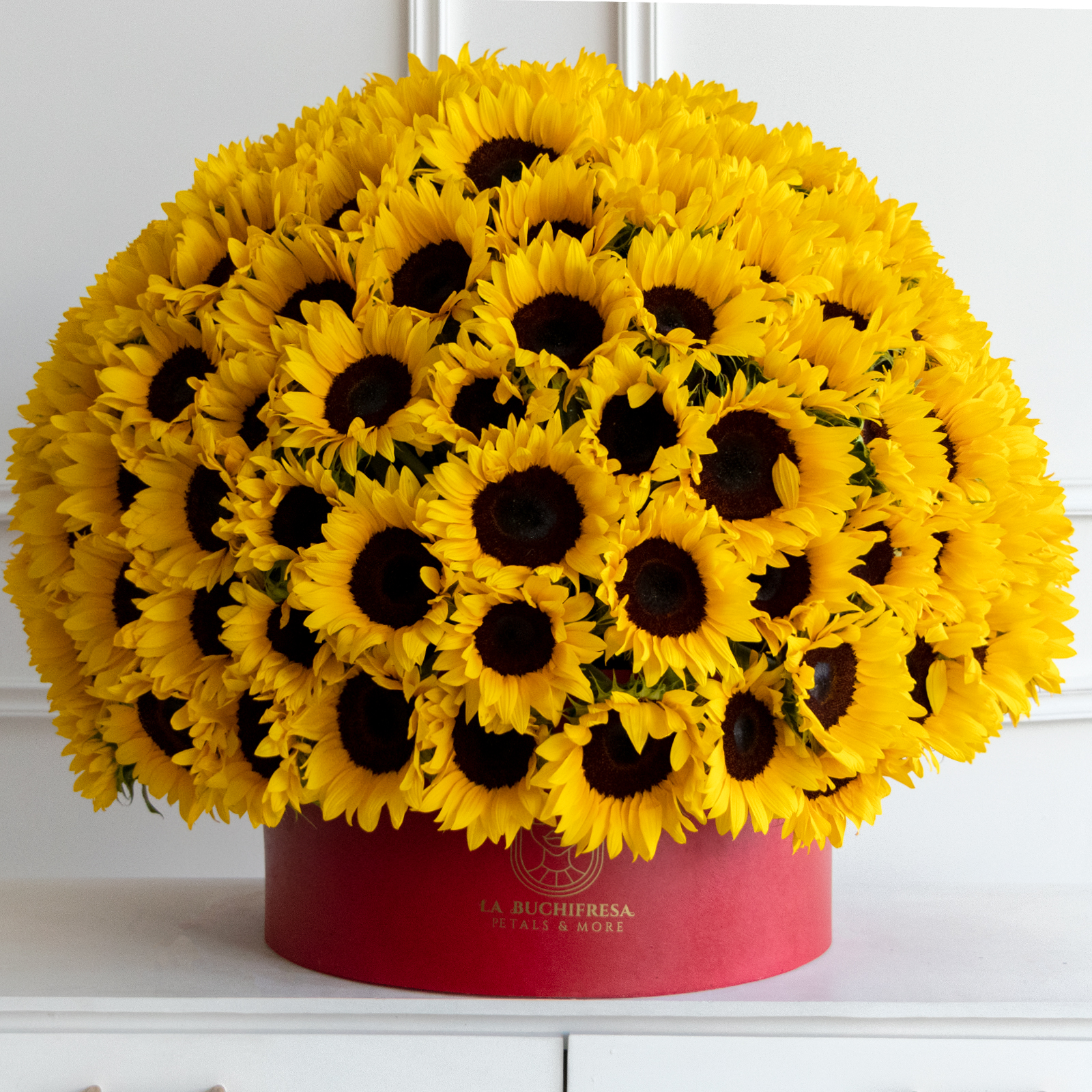 Arreglo en forma de media esfera en round box red con 150 girasoles