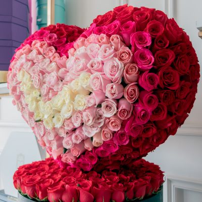 tonos rosados y blancas premium sobre medium circular black box