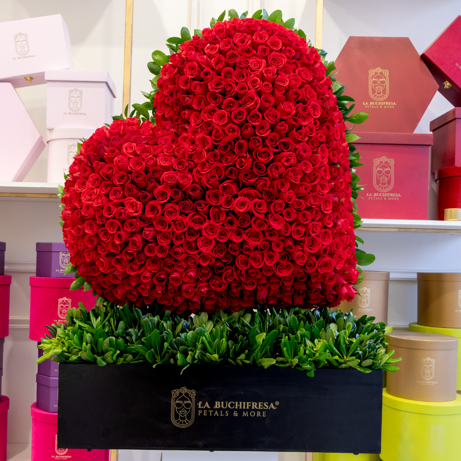 Escultura en forma de corazon abultado de 600 rosas rojas premium con clavo japones sobre big black square box