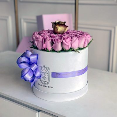 Buchi "MINI BOX" purple & gold 45 - Image 2