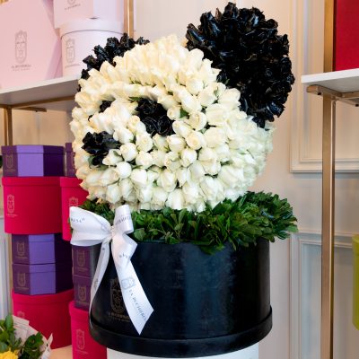 Buchi "PANDA" 550 - Image 2