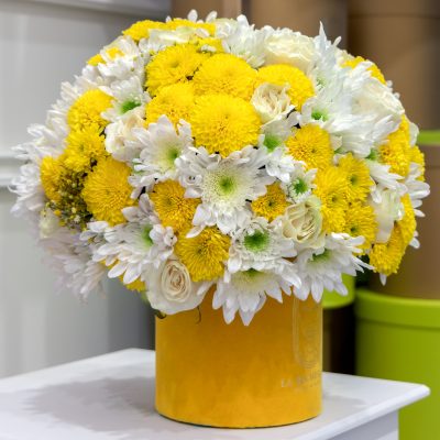 Buchi "SPHERA" yellow - Image 3