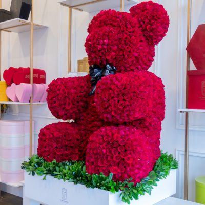 Buchi "TEDDY BEAR" red 2500 - Image 2