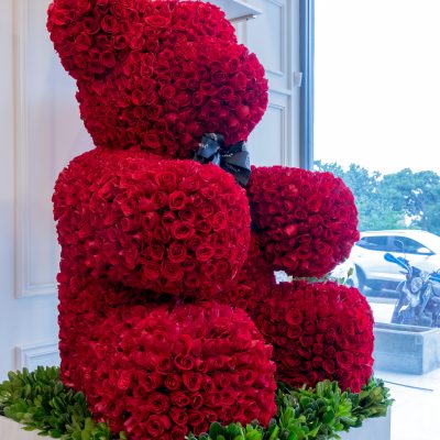 Buchi "TEDDY BEAR" red 2500 - Image 3