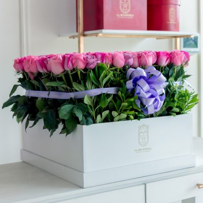Buchi "VIOLET" 300 - Image 2