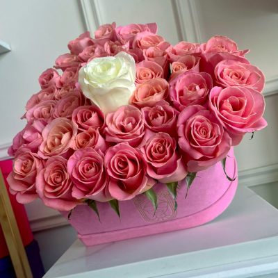 Buchi "LITTLE LOVE" pink 40 - Image 2