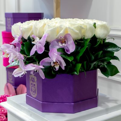 8 orquideas phalaenopsis y follaje sobre octagonal purple box