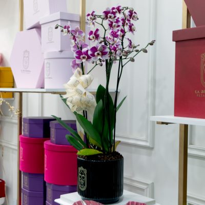 Buchi "ORCHIDS & BLACK" - Image 2