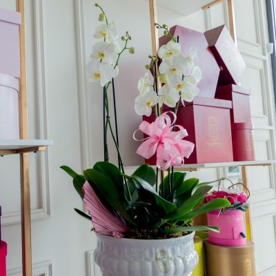 Buchi "ORCHIDS IN MUG" - Image 3