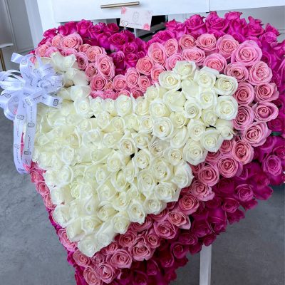 rosas y fucsia premium
