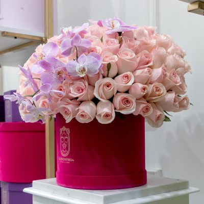 Buchi "ORCHIDS SPHERA" pink 300 - Image 2