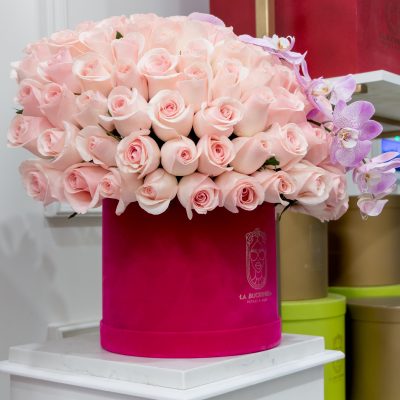 Buchi "ORCHIDS SPHERA" pink 300 - Image 3