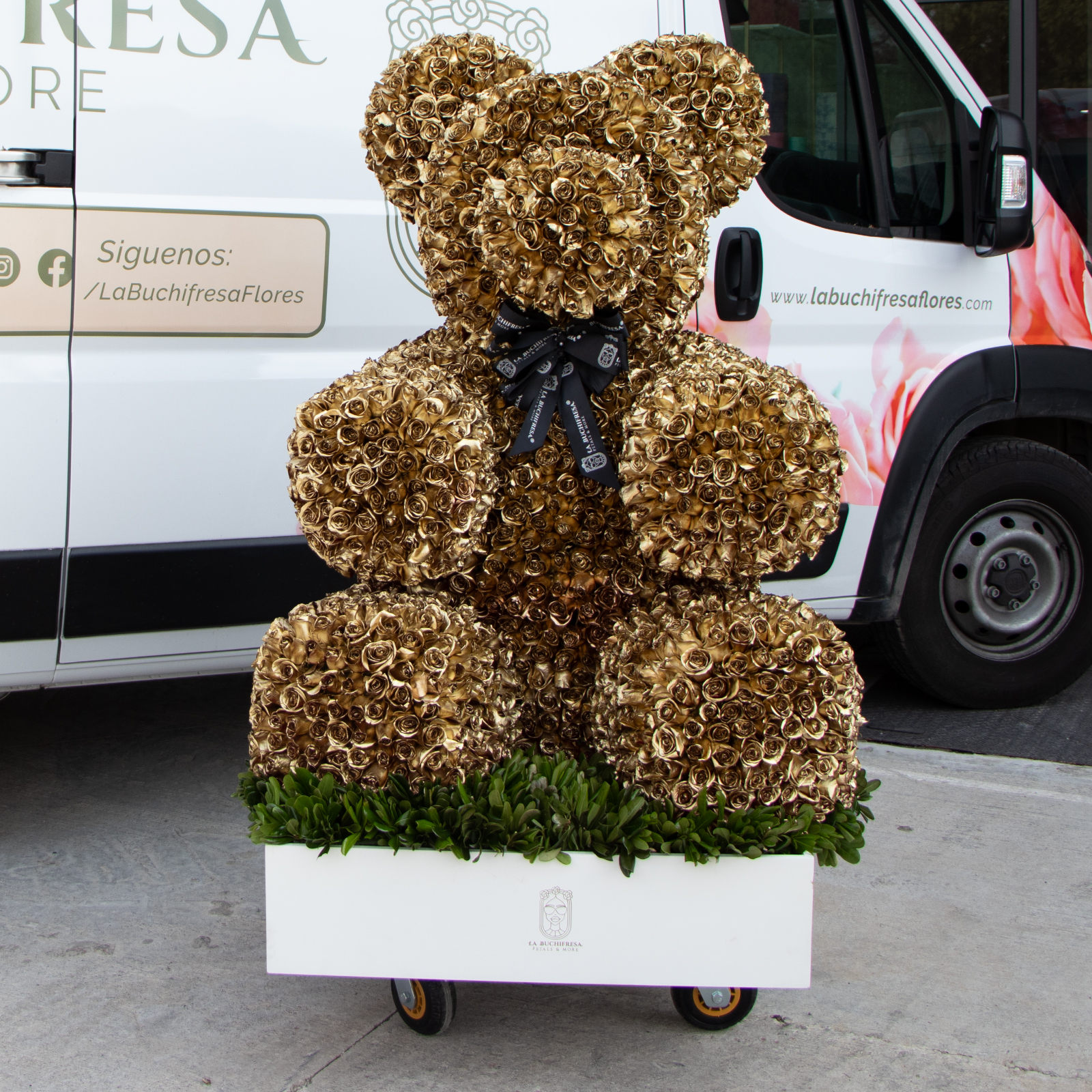 Escultura de oso con 2200 golden roses premium en square box white con un moño de liston y clavo japones