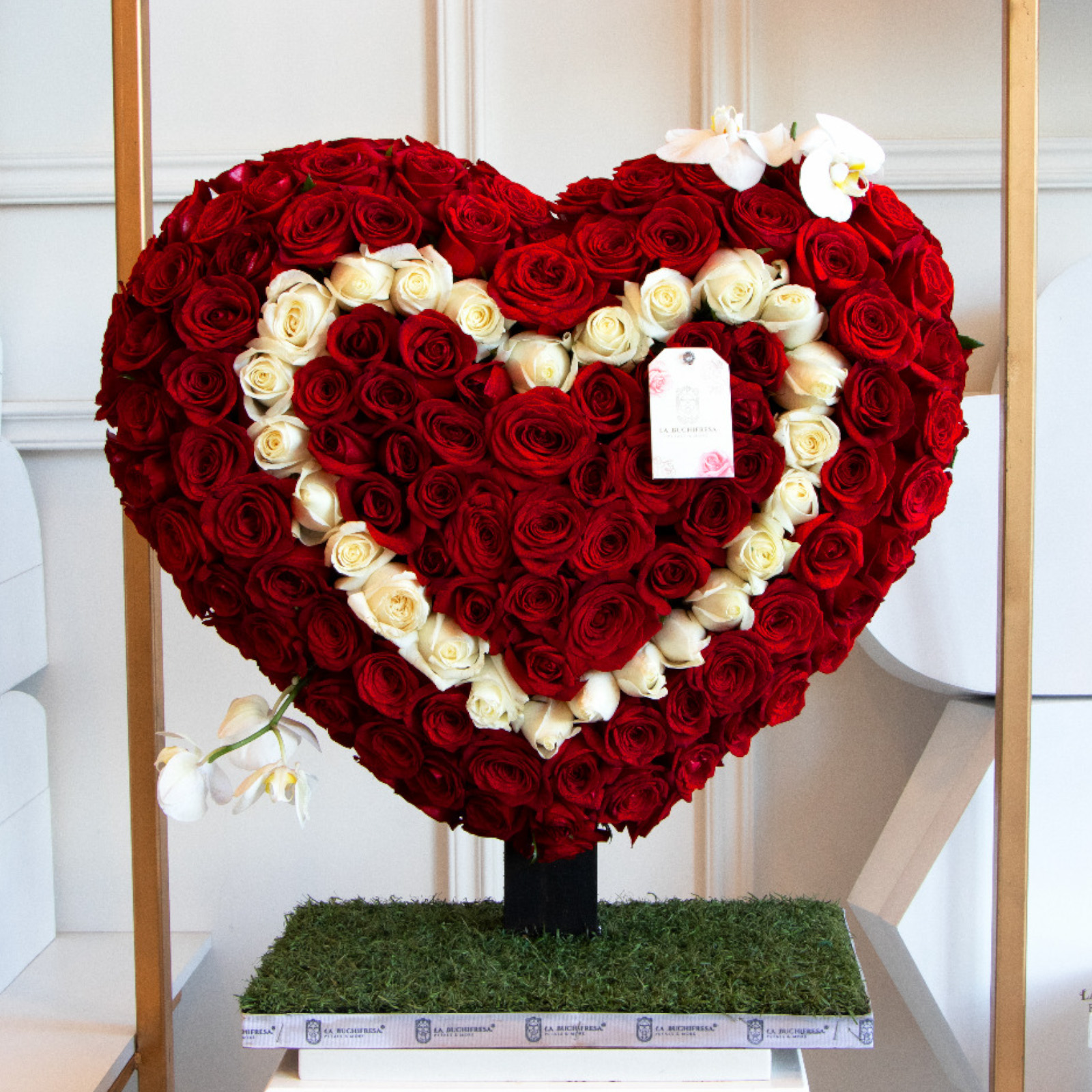 Buchi "DOUBLE HEART ORCHIDS" red & white 350