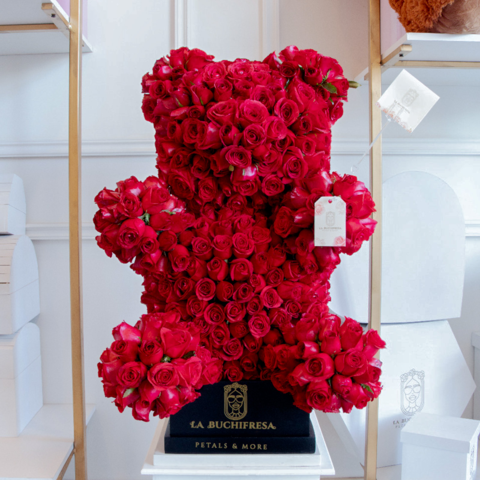 Buchi "TEDDY BEAR" red 500