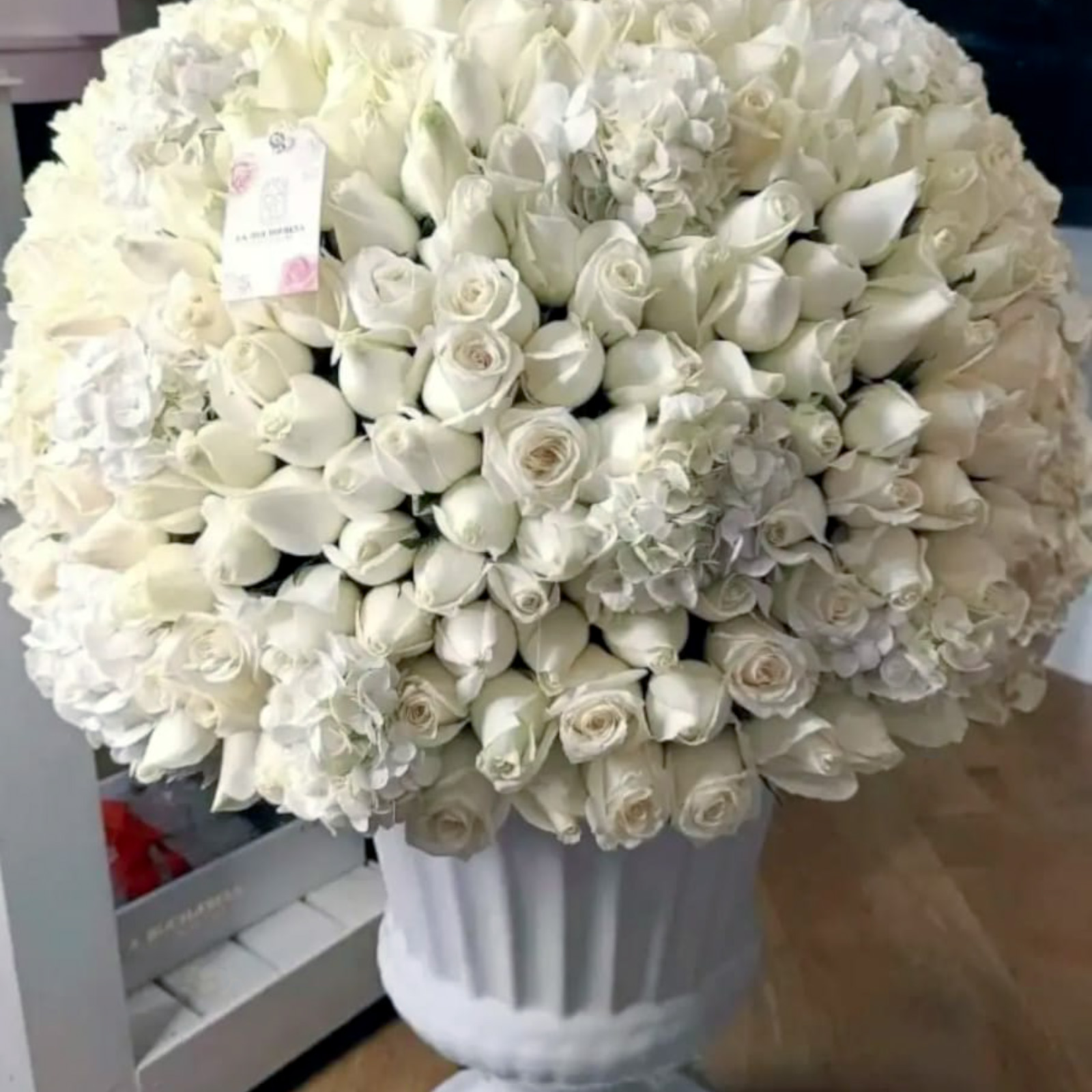 Buchi "MEMORIES" white 450