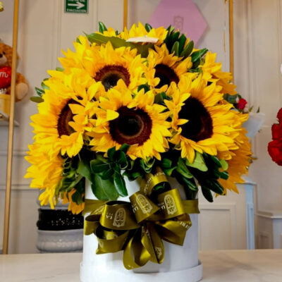 Buchi "SUNNY SPHERA" 15