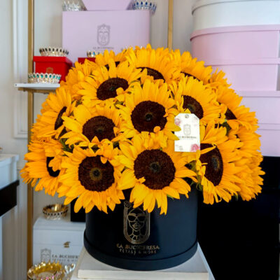 Buchi "SUNNY SPHERA" 30
