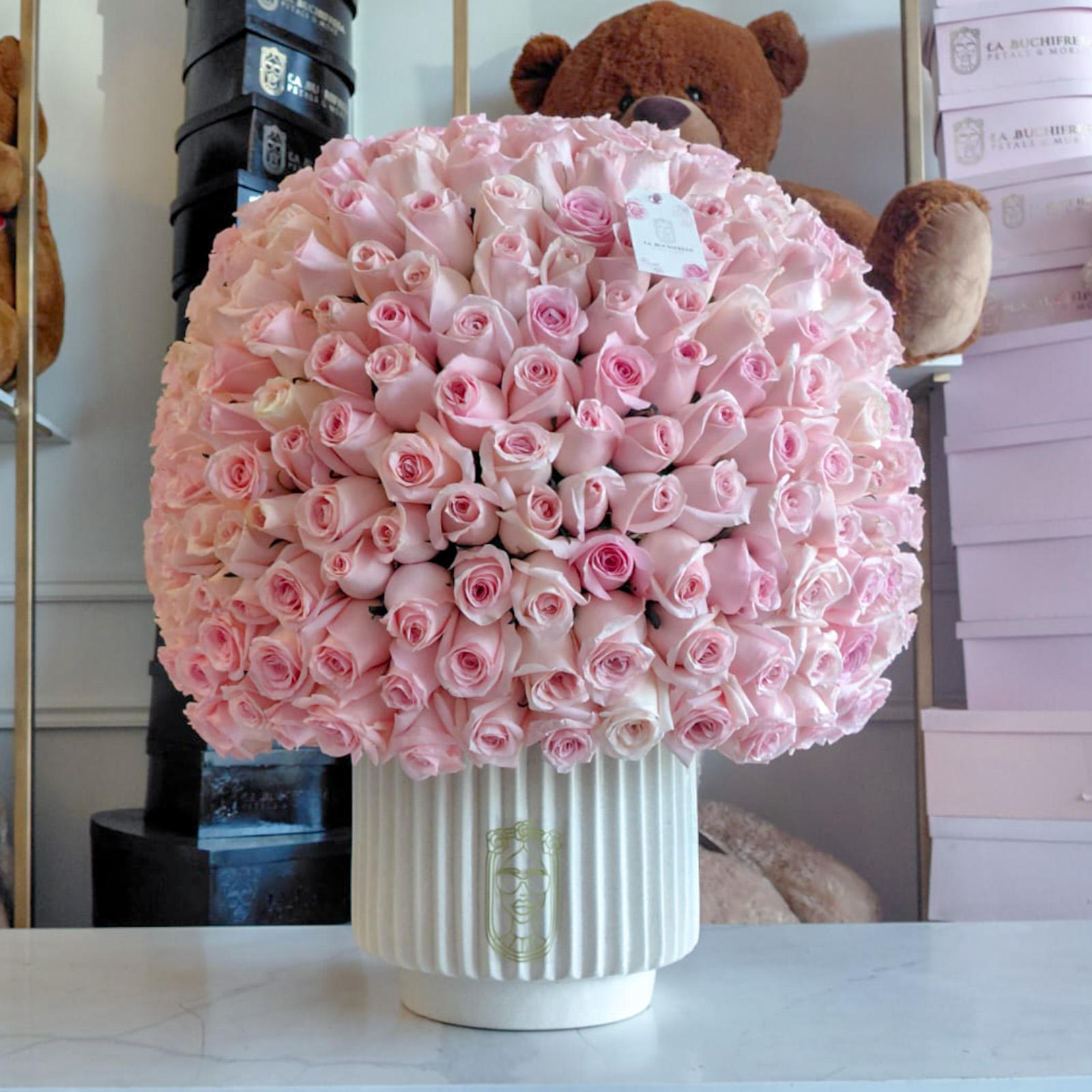 Sphera DINASTY 500 pink