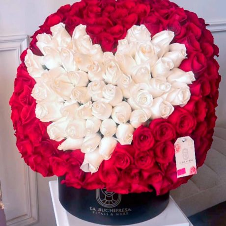 Buchi _LOVE SPHERA_ red 250