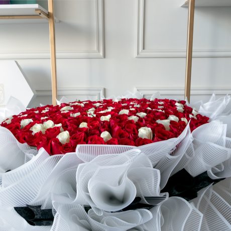 Arreglo en forma de jardin con 600 rosas rojas y blancas premium al ras envuelto en papel coreano