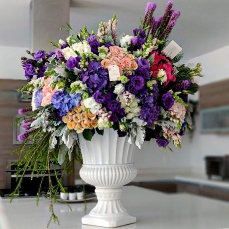 Buchi _PURPLE COUPE ROMAINE_ 250