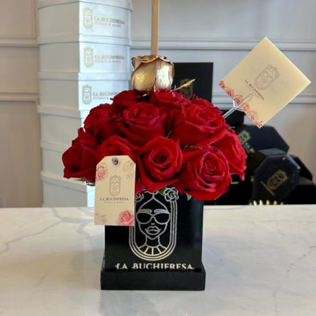 Buchi _SMALL BOX_ red 24