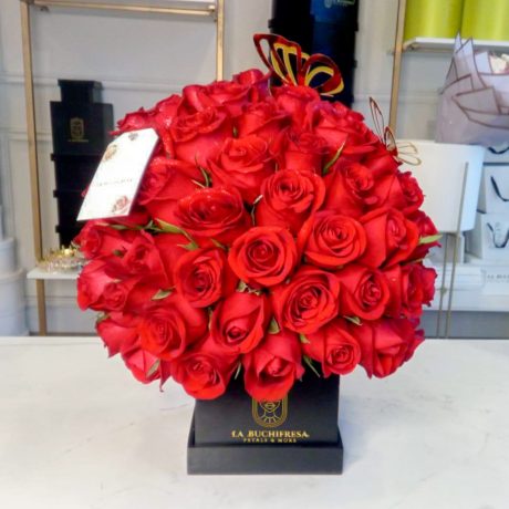 Buchi _SPHERA_ red 50