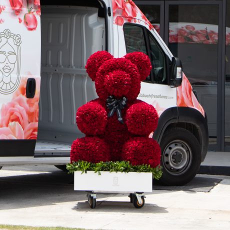 Escultura de oso con 2200 rosas rojas premium en square box white con un moño de liston y clavo japones