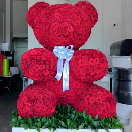 Buchi _TEDDY BEAR_ red 2500