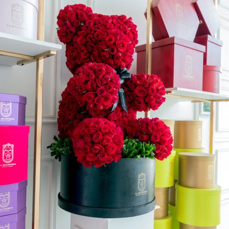 Buchi _TEDDY BEAR_ red 650 (1)