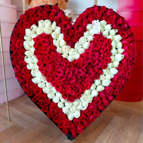 Love DYNASTY 400 red 1