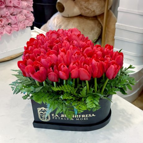 Love TULIPS 50 red