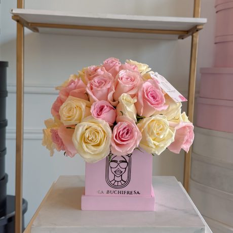 Mini BOX 24 pink & white