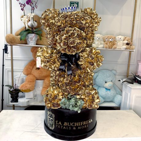 Oso GOLDEN BOY 800