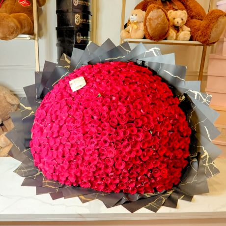 Ramo DELUXE 500 red 1